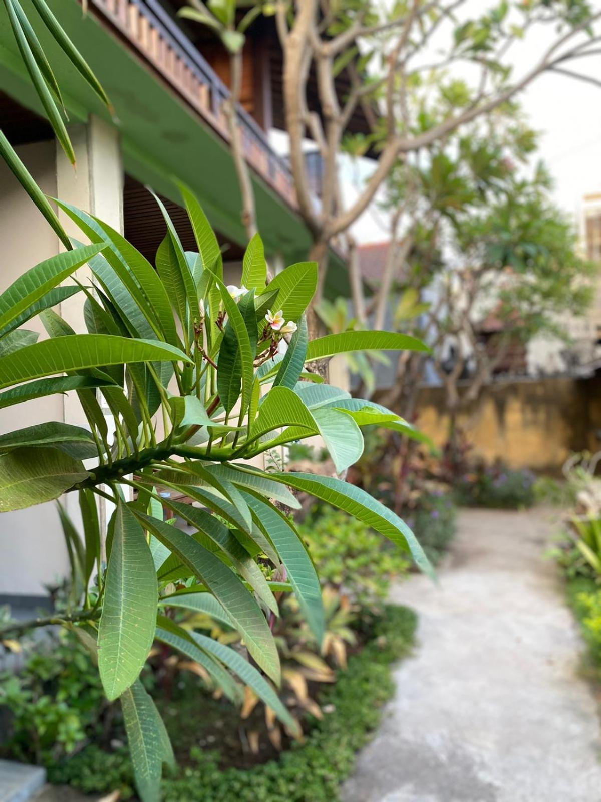 Putra'Lebah Amed Guest House Dış mekan fotoğraf